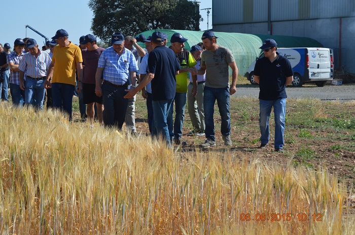 JORNADA  DE CAMPO 